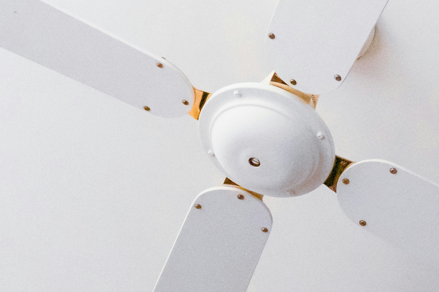 Lighting & Ceiling Fans