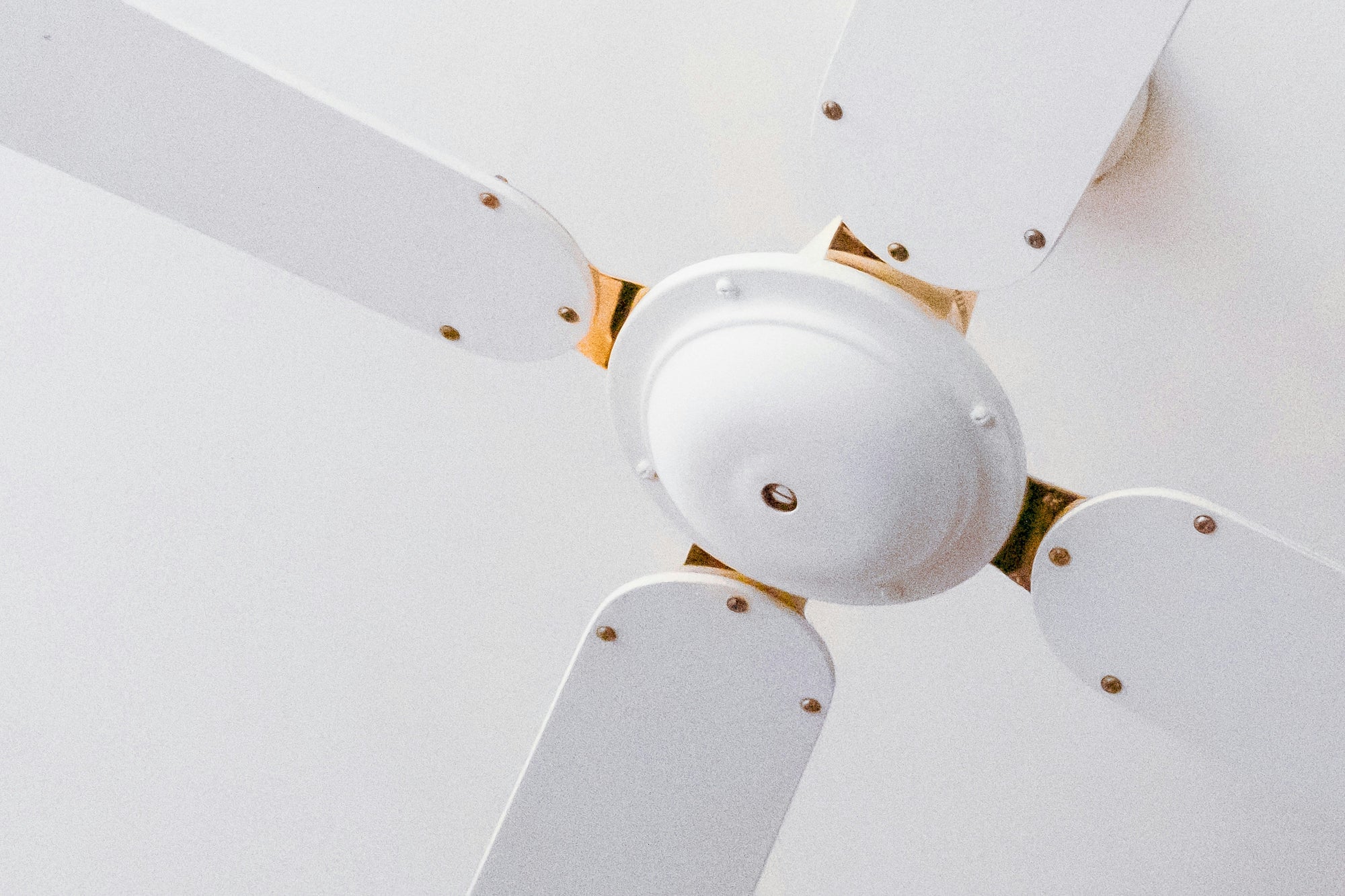 Lighting & Ceiling Fans
