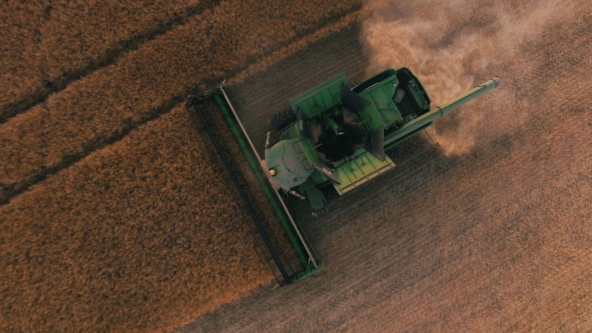 Farm