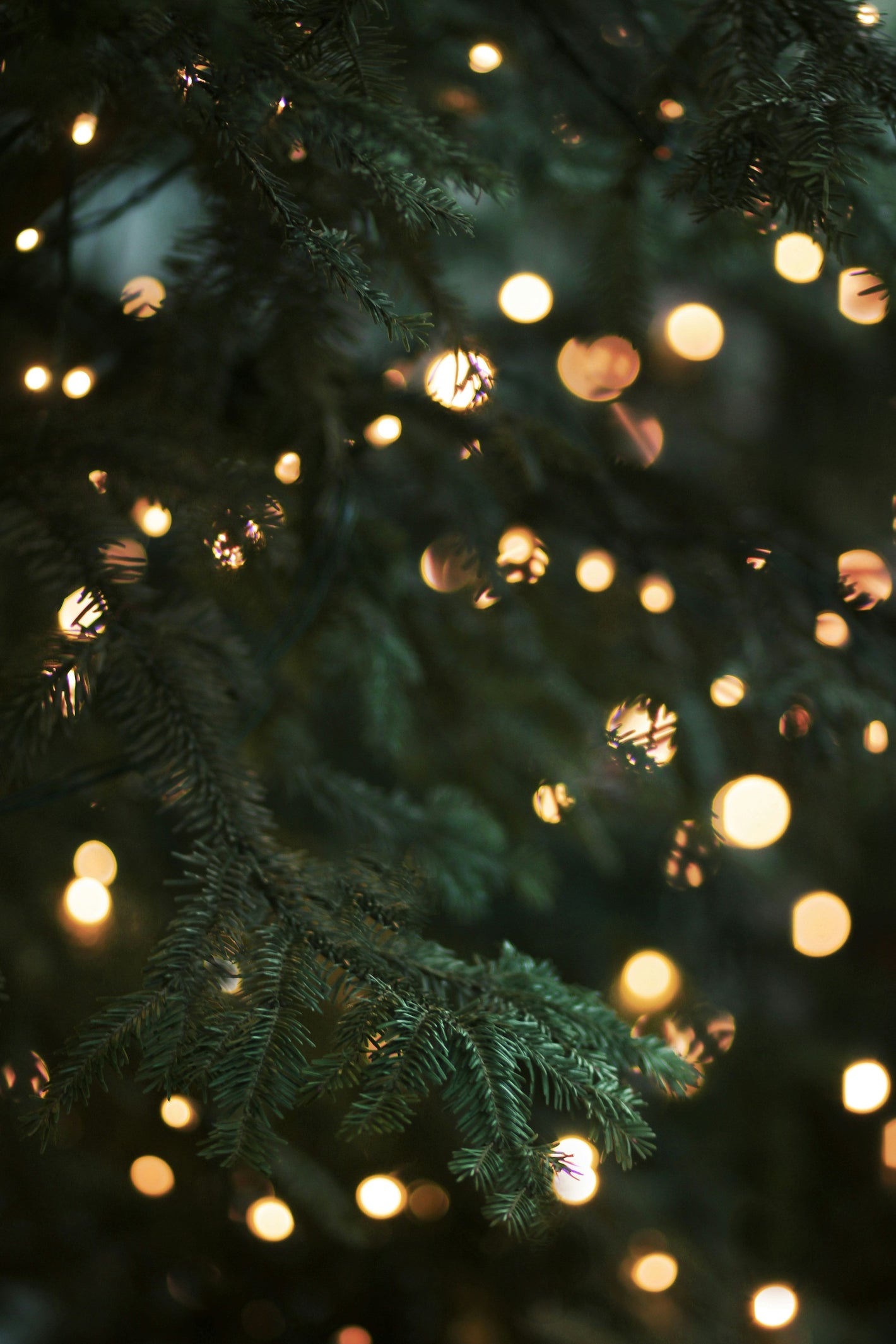 Seasonal & Holiday