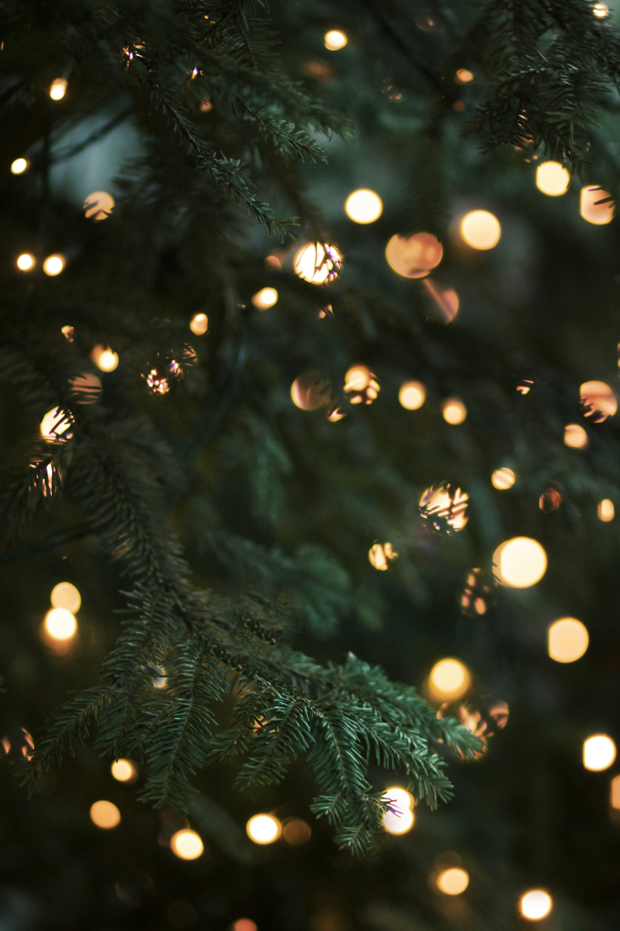 Seasonal & Holiday