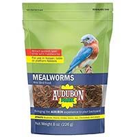 12816 AUD. PK. MEALWORMS
