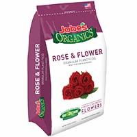 09426NA JOBE ROSE & FLOWER 4