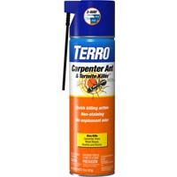 T1901-6  CARPNTR ANT AER 16O