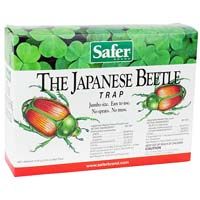 JPN BEETLE TRAP