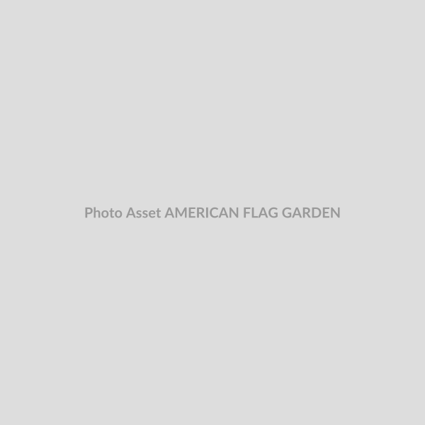 AMERICAN FLAG GARDEN