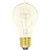 Satco Products S2412 Vintage Light Bulb