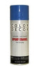Color Decor Interior/Exterior Spray Paint