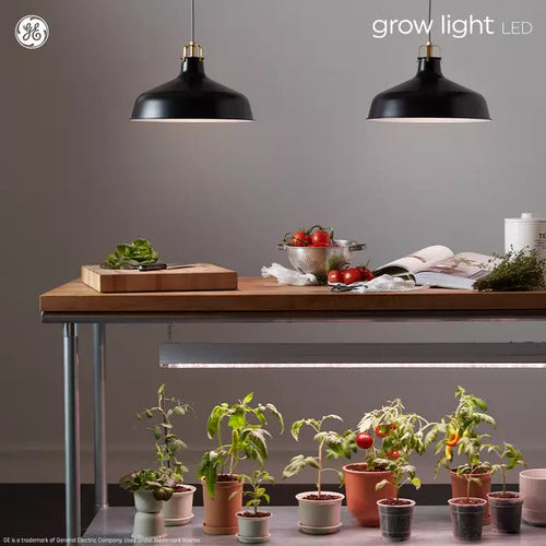 GE Grow LED Light Bulbs for Fruits and Flowering A19 Bulbs 9 Watts